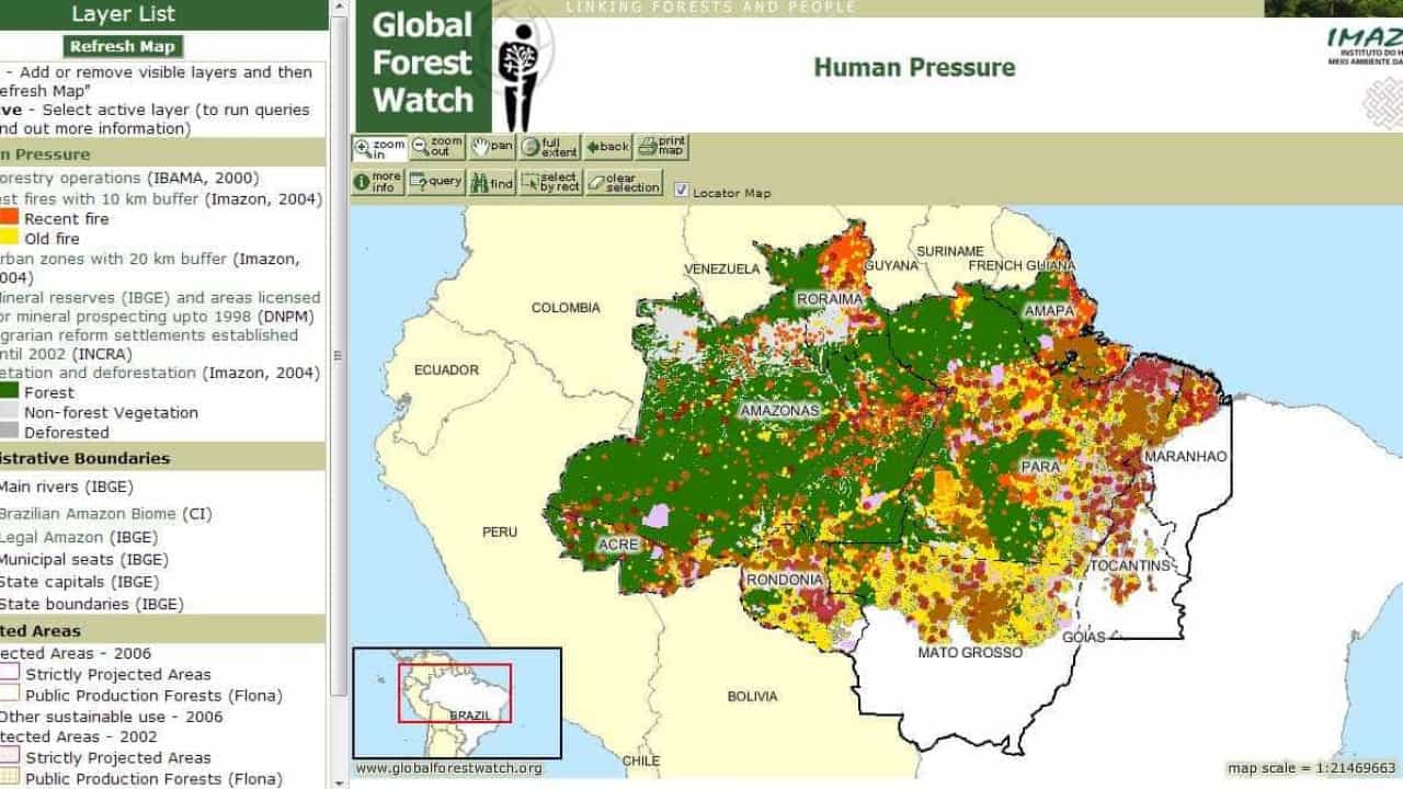 O QUE UM JORNALISTA PODE FAZER COM GLOBAL FOREST WATCH?