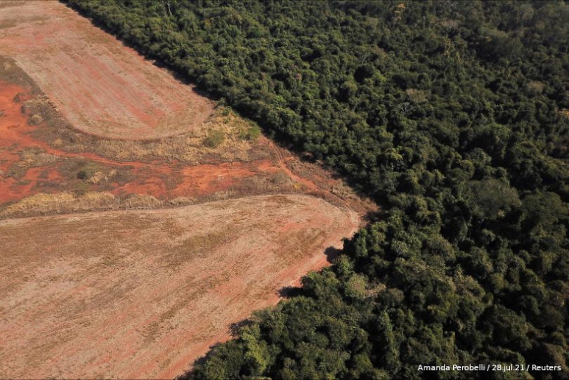 Amazônia perdeu cerca de 1 bilhão de árvores entre 2020 e 2021