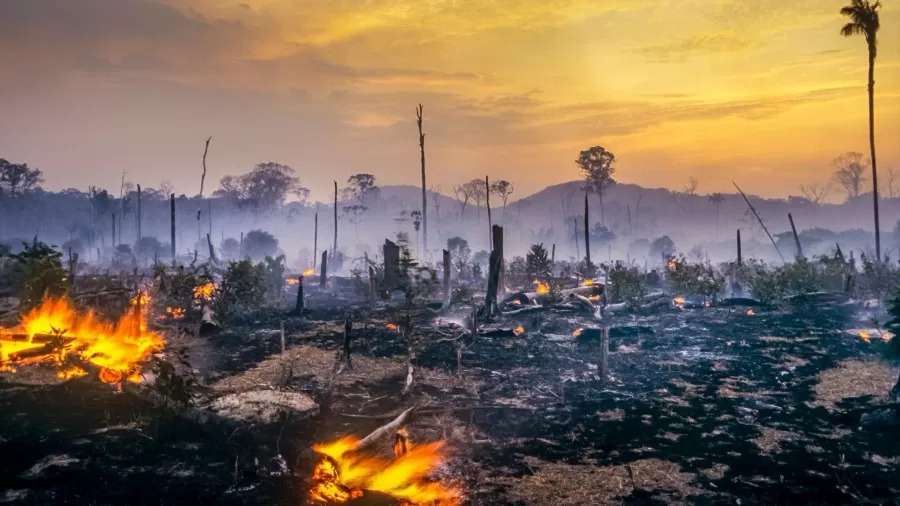Estudos mostram Amazônia mais quente, seca e já mudando o clima do planeta
