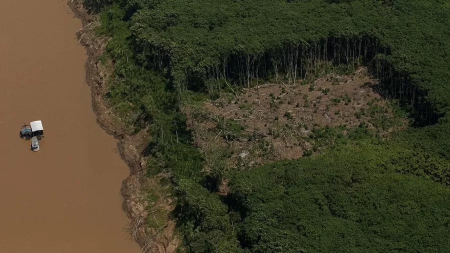 Amazônia: terras federais respondem por 80% do desmate no fim de Bolsonaro