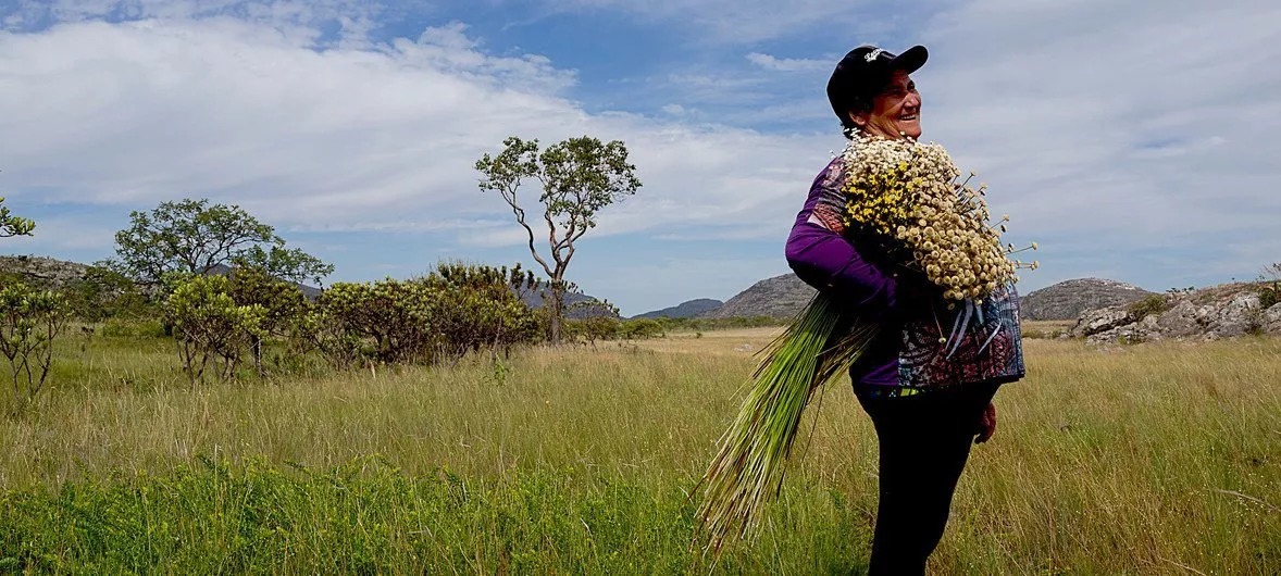 Projeto de Fundo Agrícola da ONU investirá US$ 900 milhões no Brasil