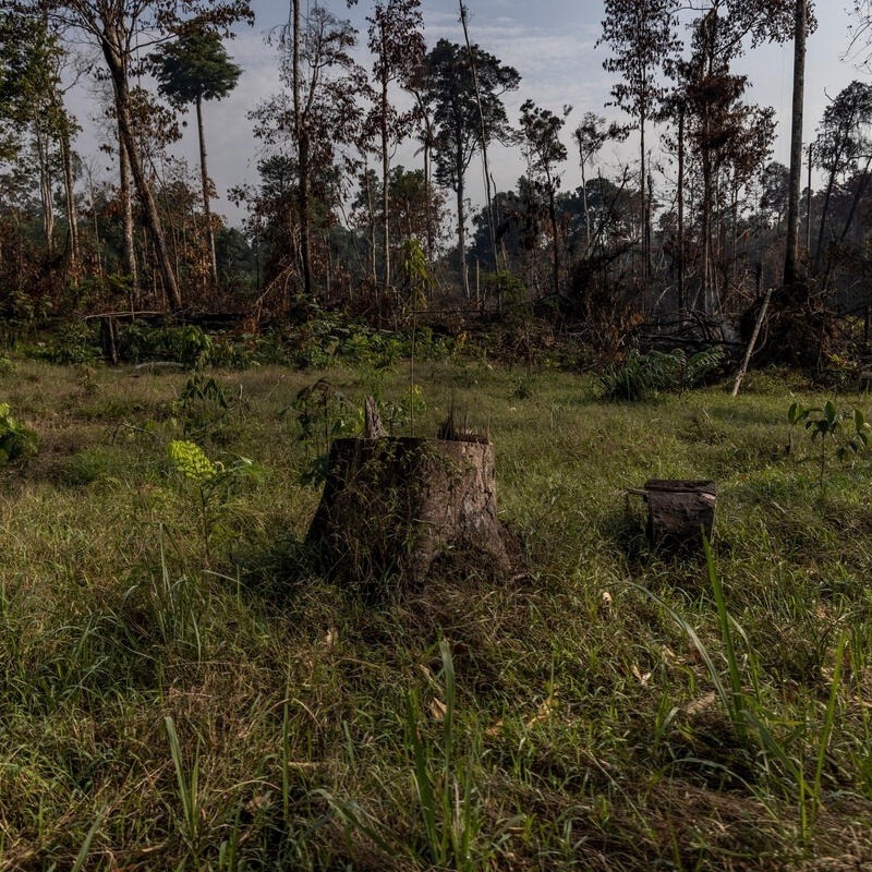 Brasil pode usar crise climática a seu favor para diminuir a desigualdade