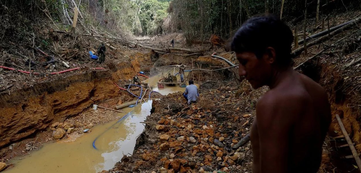 Brasil é um dos países mais perigosos do mundo para ambientalistas, diz relatório