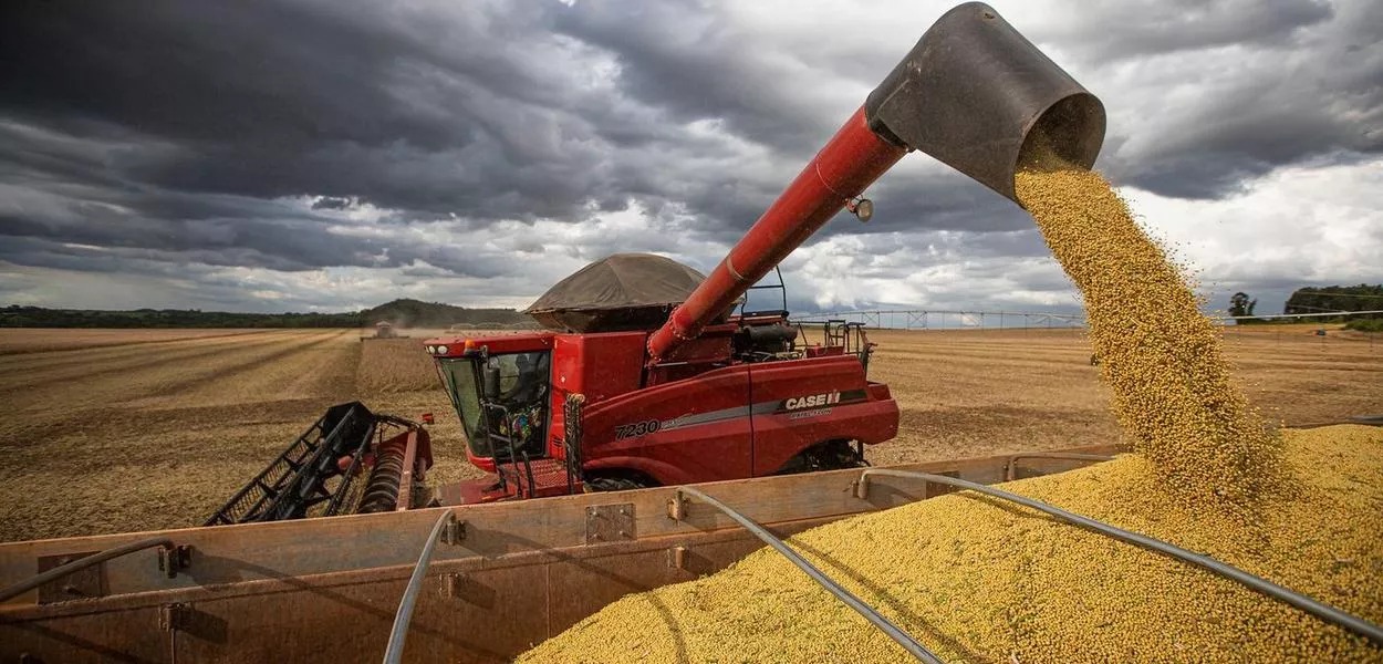 Oito commodities representam dois terços das exportações em 2023