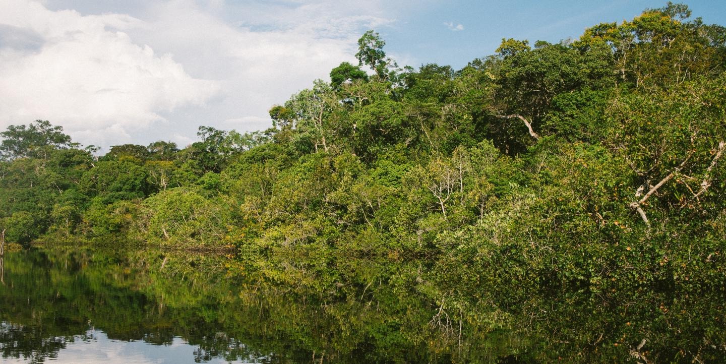 Como descobrimos a maior apropriação de terras da Amazônia brasileira