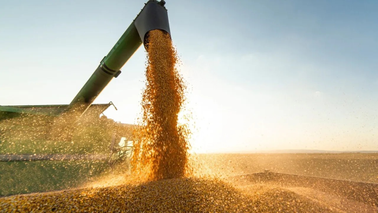 O grande ganho de produtividade nos grãos